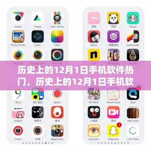 深度解析,历史上的12月1日手机软件热门事件聚焦与观点探讨