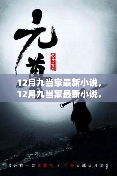 多维度视角下的深度解读,12月九当家最新小说解析