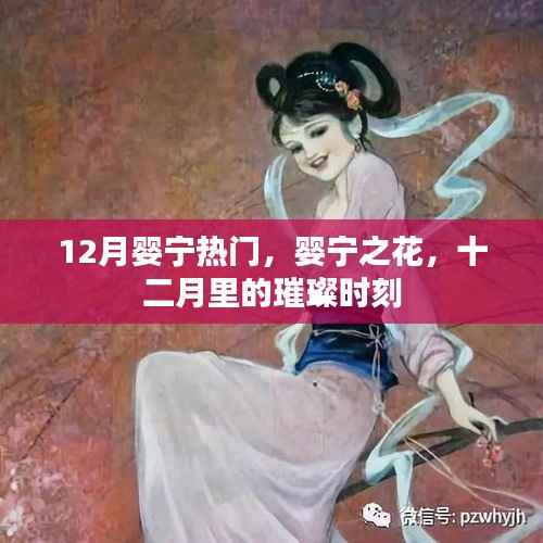 婴宁之花,十二月里的璀璨热门时刻