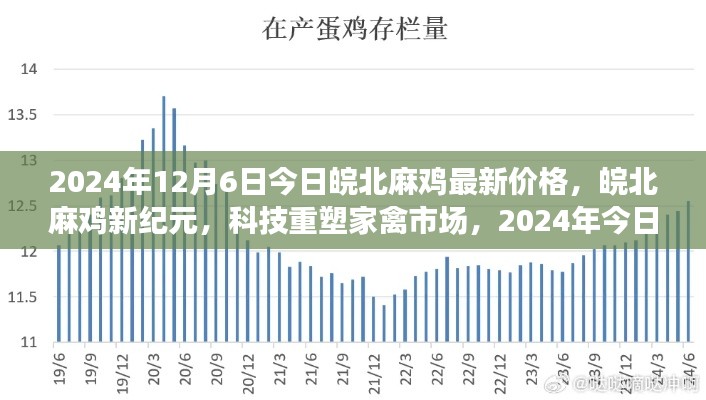 皖北麻鸡市场新纪元,科技引领家禽市场,智能解读麻鸡最新价格