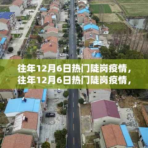往年12月6日热门陡岗疫情深度解析与全面评测报告