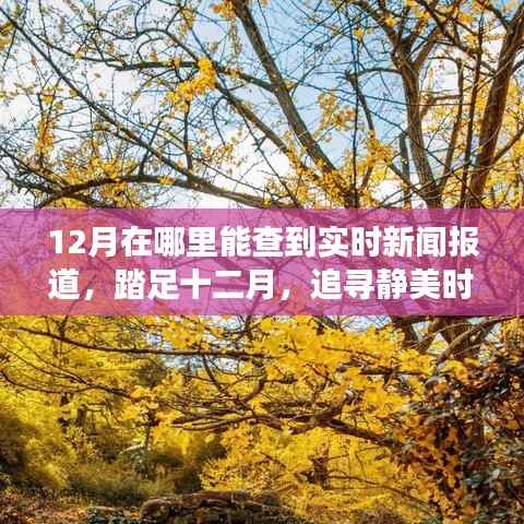 十二月实时新闻报道,与自然对话的旅行艺术,踏足静美时光