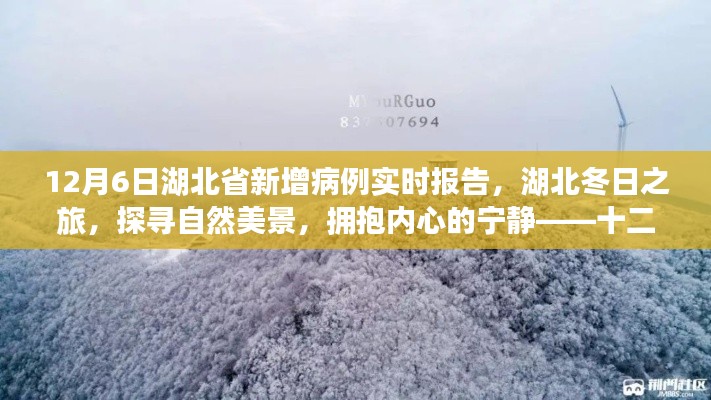 十二月六日湖北省疫情实时报告,探寻自然美景与内心宁静之旅的幕后故事