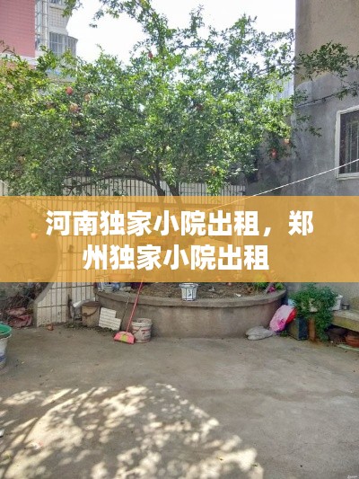 河南独家小院出租,郑州独家小院出租
