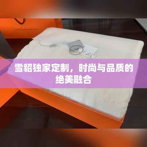 雪貂独家定制，时尚与品质的绝美融合