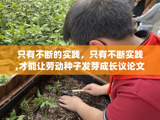 只有不断的实践，只有不断实践,才能让劳动种子发芽成长议论文 