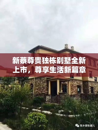 新蔡尊贵独栋别墅全新上市,尊享生活新篇章