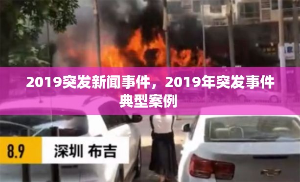 2019突发新闻事件,2019年突发事件典型案例