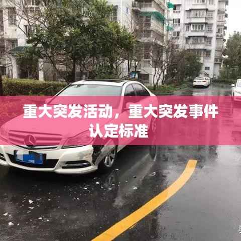 重大突发活动,重大突发事件认定标准