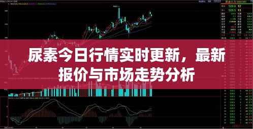 尿素今日行情实时更新，最新报价与市场走势分析