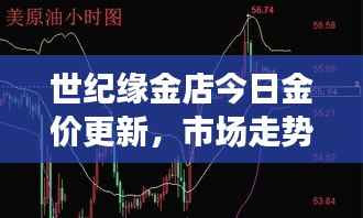 世纪缘金店今日金价更新,市场走势与消费者关注焦点解析
