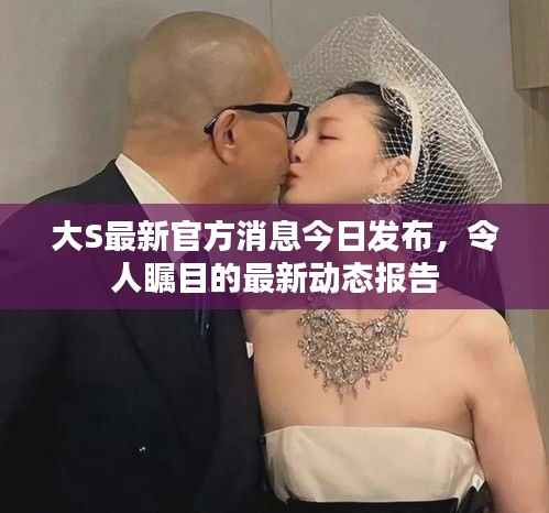 大S最新官方消息今日发布,令人瞩目的最新动态报告