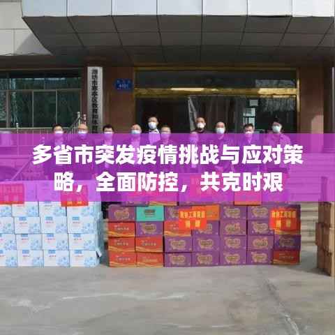 多省市突发疫情挑战与应对策略，全面防控，共克时艰