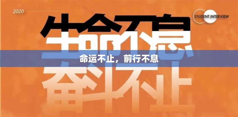 命运不止,前行不息