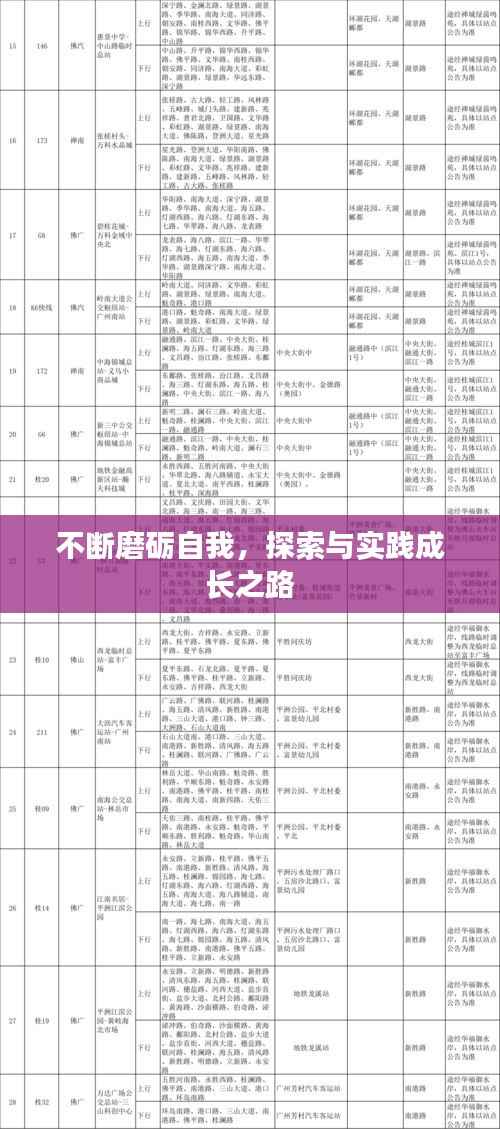 不断磨砺自我,探索与实践成长之路