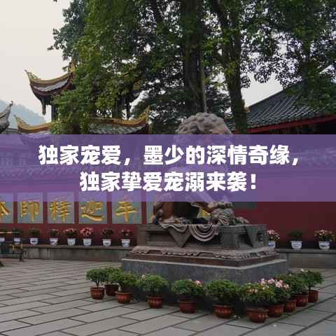 独家宠爱，墨少的深情奇缘，独家挚爱宠溺来袭！