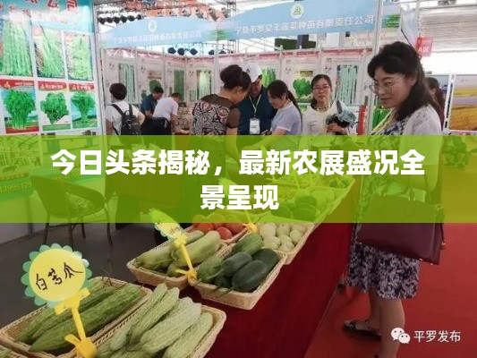 今日头条揭秘,最新农展盛况全景呈现