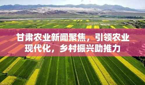 甘肃农业新闻聚焦,引领农业现代化,乡村振兴助推力