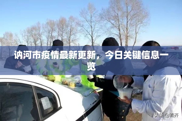 讷河市疫情最新更新,今日关键信息一览