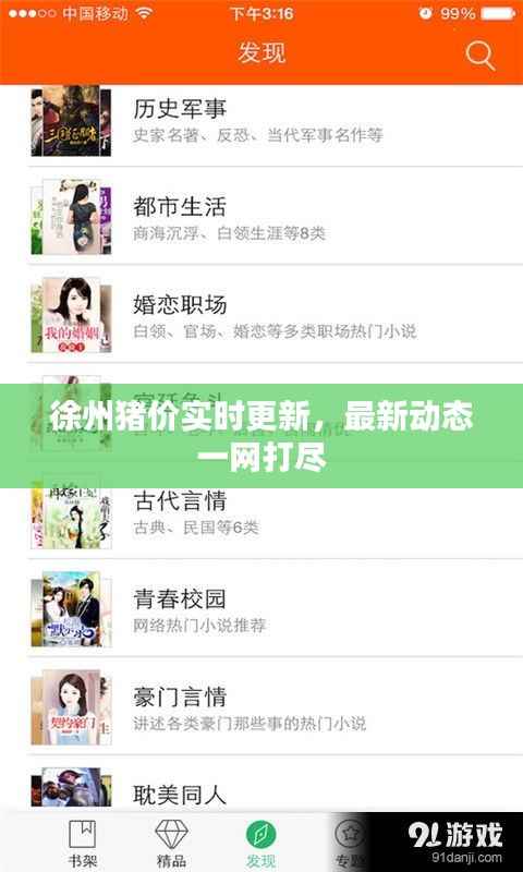 徐州猪价实时更新,最新动态一网打尽