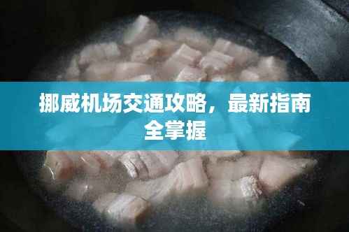 挪威机场交通攻略,最新指南全掌握