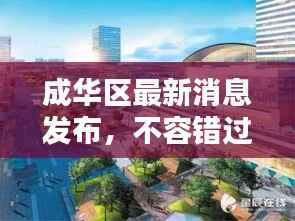 成华区最新消息发布,不容错过!