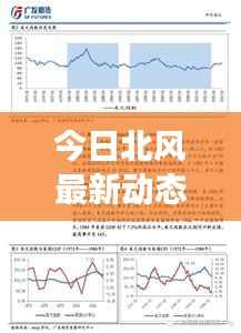 今日北风最新动态,影响分析与后续趋势预测