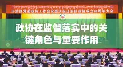 政协在监督落实中的关键角色与重要作用