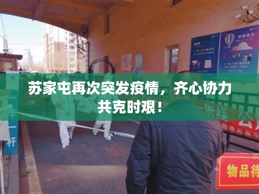 苏家屯再次突发疫情,齐心协力共克时艰!