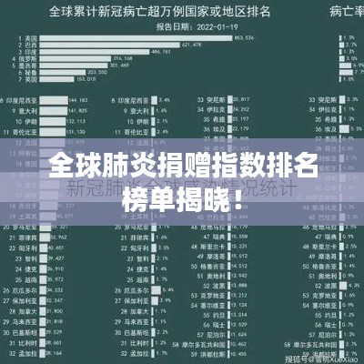 全球肺炎捐赠指数排名榜单揭晓!