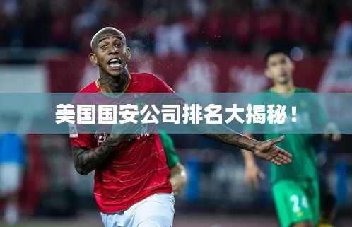 美国国安公司排名大揭秘!