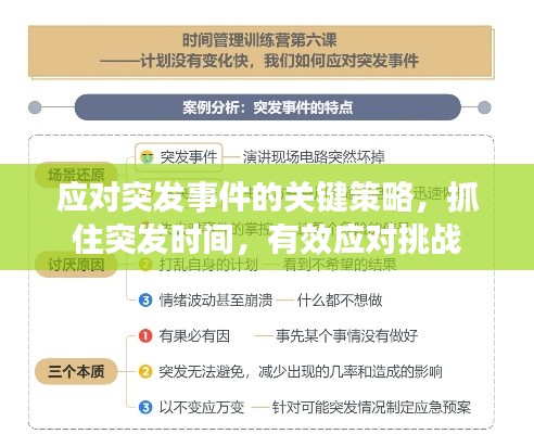 商品分类 第60页