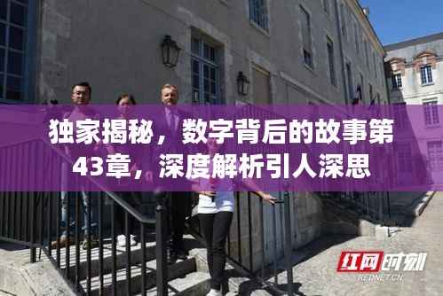 独家揭秘,数字背后的故事第43章,深度解析引人深思